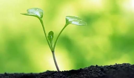 烈冰助力||RNA-seq揭示老化有機氯農(nóng)藥帶來的長期環(huán)境風險