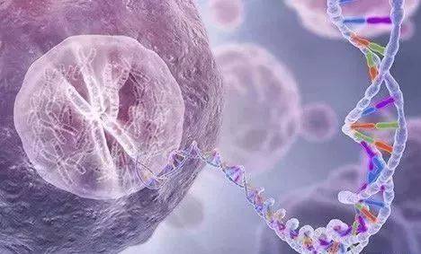 烈冰助力snRNA-Seq||震驚！凍存樣本也能做單細胞？