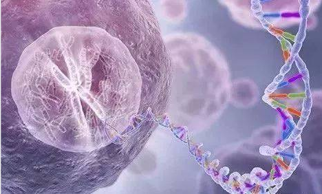 烈冰助力snRNA-Seq||震驚！凍存樣本也能做單細胞？
