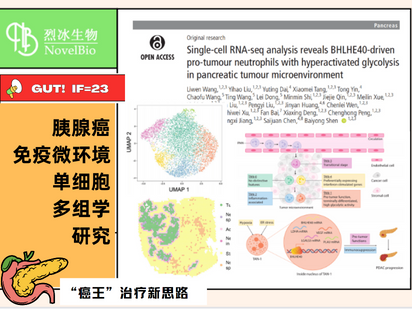 GUT重磅來襲！單細胞+空轉+免疫熒光的王炸組合，烈冰助力交大醫(yī)學院研究團隊解析胰腺癌免疫微環(huán)境