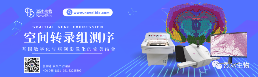【IF=69.54】Nature發(fā)文大佬，上萬字綜述洞見空間轉(zhuǎn)錄組技術(shù)