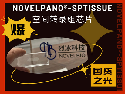 國產(chǎn)之光！烈冰智造成功開發(fā)空間轉(zhuǎn)錄組50μm級點(diǎn)陣芯片