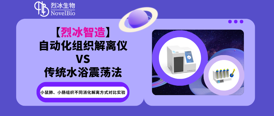 小鼠肺、小腸組織不同消化解離方式對比實驗
