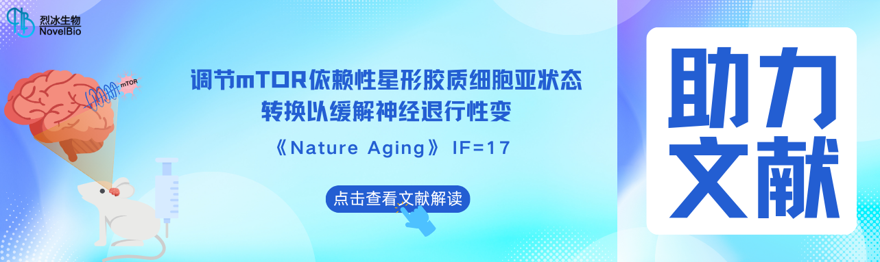 烈冰助力 | Nature Aging（IF = 17） 調(diào)控mTOR依賴的星形膠質(zhì)細(xì)胞亞狀態(tài)轉(zhuǎn)變可緩解神經(jīng)退行性變