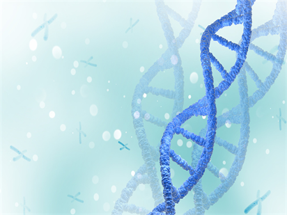 熱烈慶祝烈冰生物NovelBio協(xié)助吉林大學發(fā)表BMC Cancer (IF=3.36)