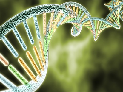 上海烈冰科技項目研發(fā)部聯(lián)合發(fā)表PNAS《美國科學院院報》文章