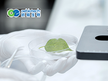 歐易生物與烈冰科技達成企業(yè)級生物云計算平臺聯(lián)合開發(fā)戰(zhàn)略合作！